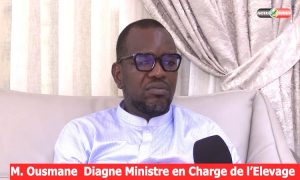 Maitre Ousmane Diagne